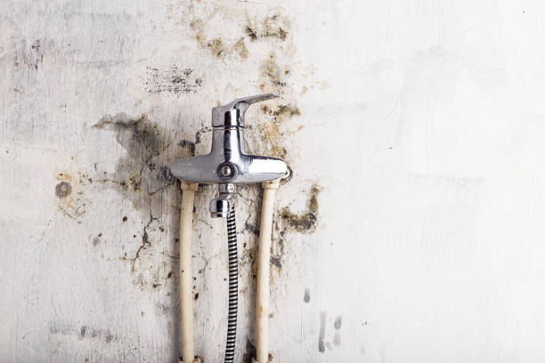 Best Mold Testing  in Inverness Highlands North, FL