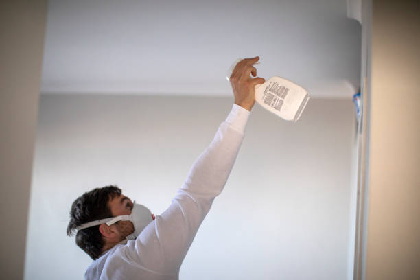 Best Emergency Mold Removal  in Inverness Highlands North, FL