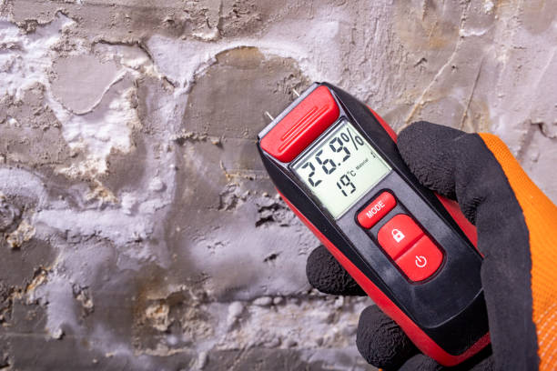 Best Attic Mold Removal  in Inverness Highlands North, FL