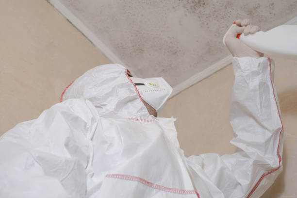 Best Toxic Mold Removal  in Inverness Highlands North, FL